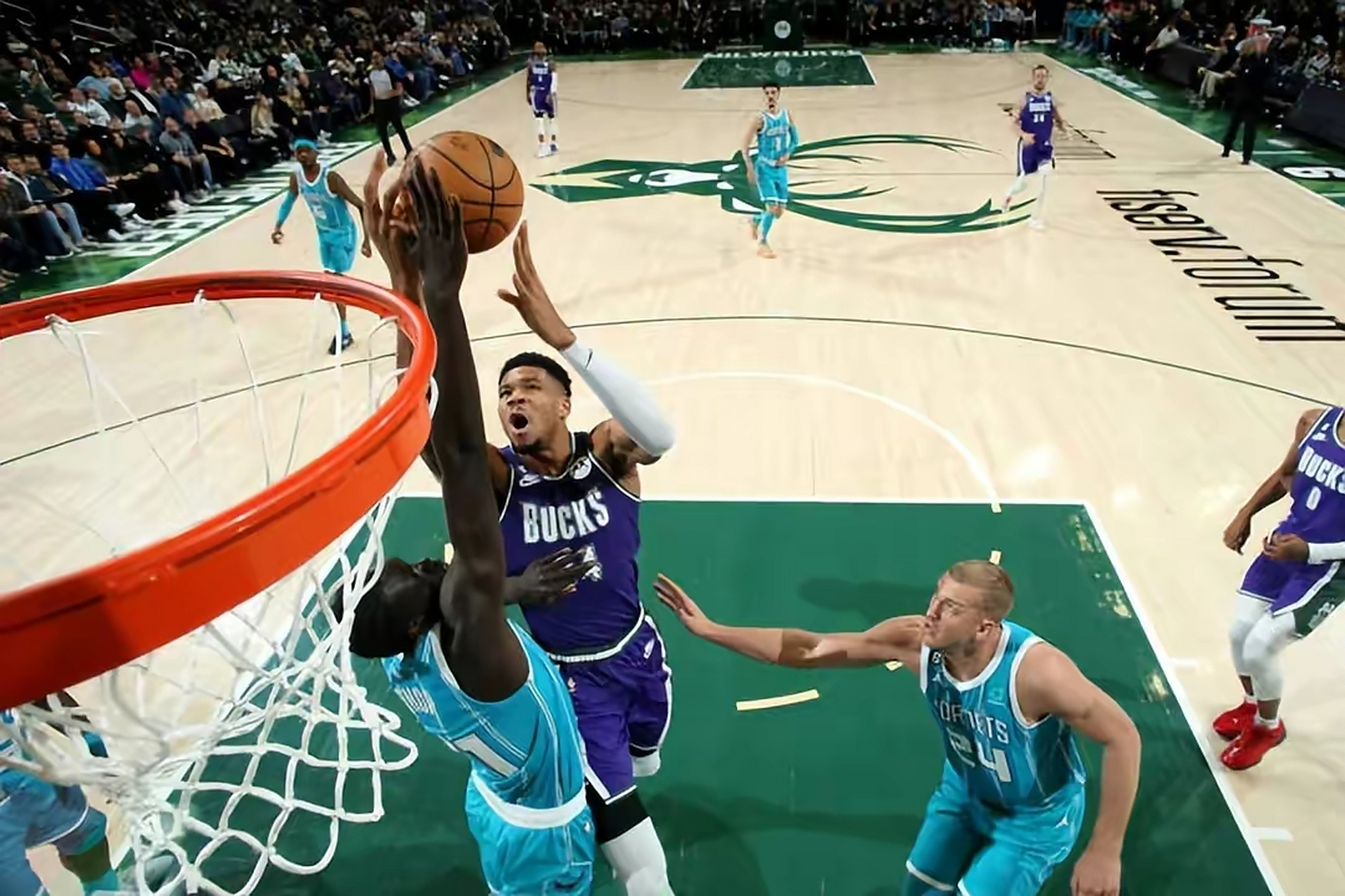 雄鹿大胜黄蜂,浓眉贡献全面数据 雄鹿大胜黄蜂,浓眉贡献全面数据